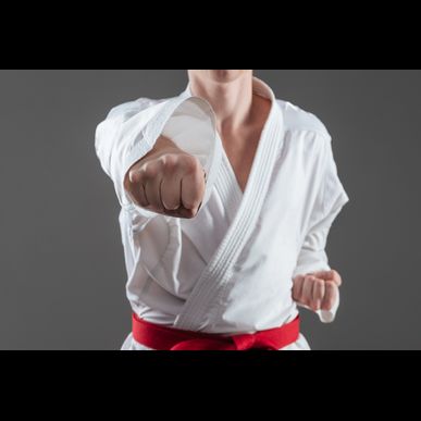 成田の当道場なら土日に趣味として稽古に参加できます